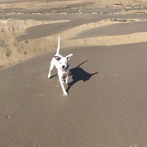 Meet your Posher, Mary